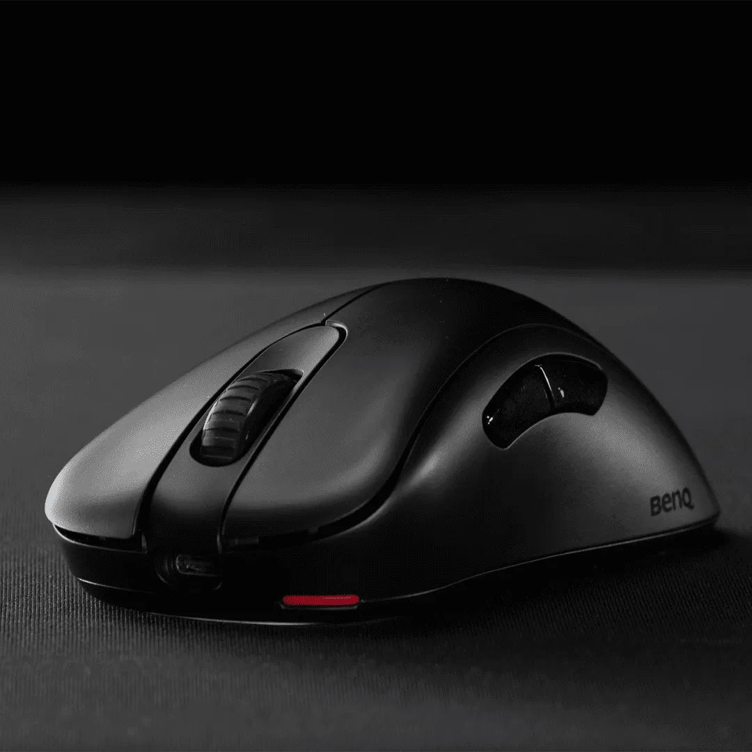 Mouse Zowie EC1 DW