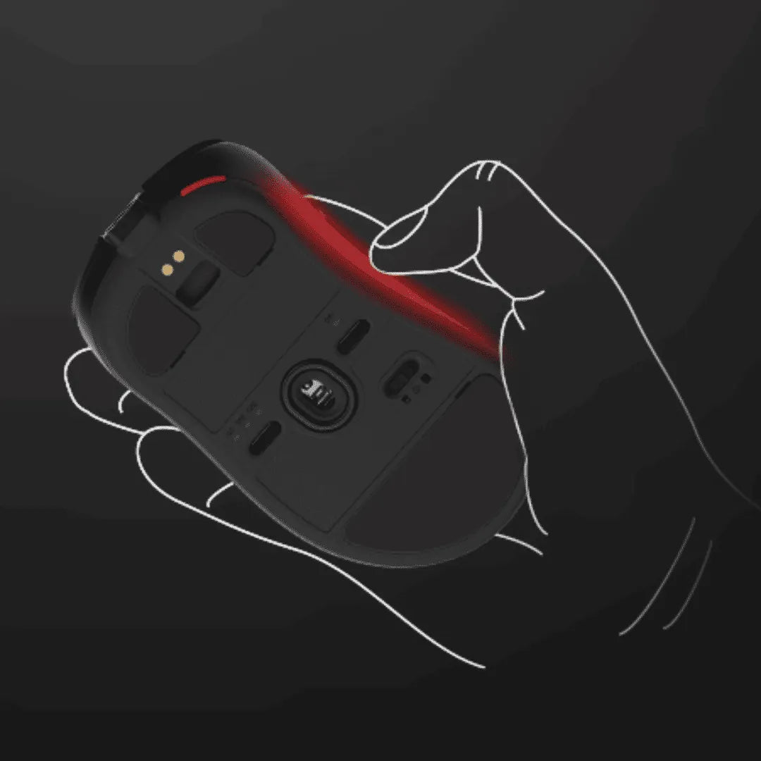 Mouse Zowie EC1 DW