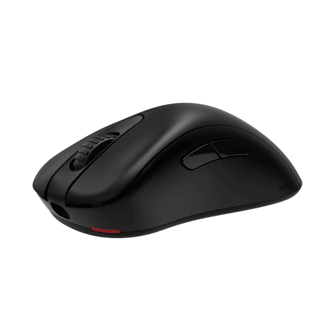 Mouse Zowie EC1 DW