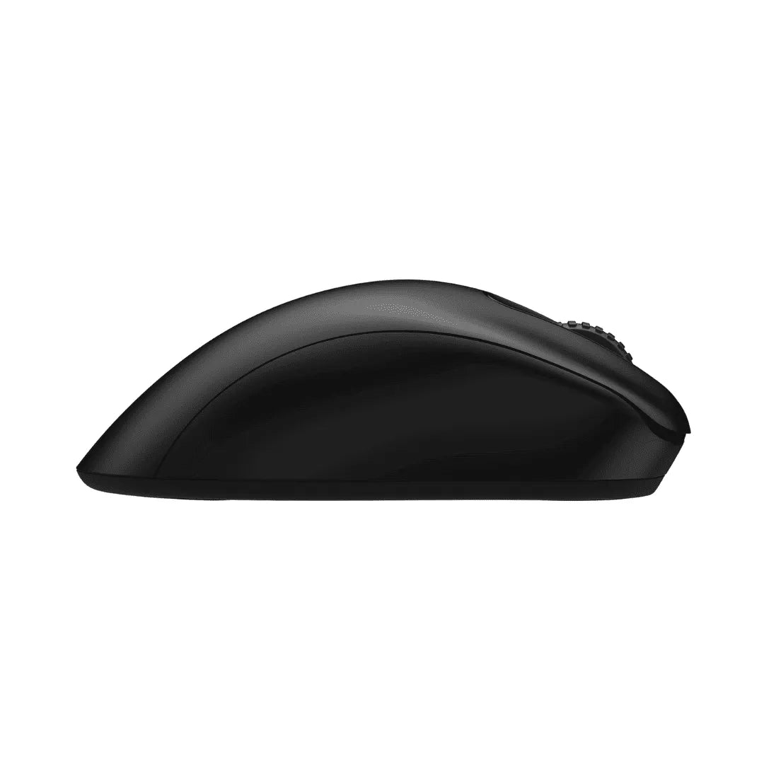 Mouse Zowie EC1 DW