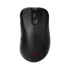 Mouse Zowie EC1 DW