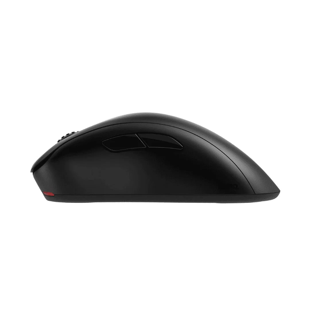 Mouse Zowie EC1 DW
